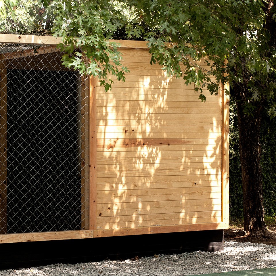 House for eagles - S-AR - 7