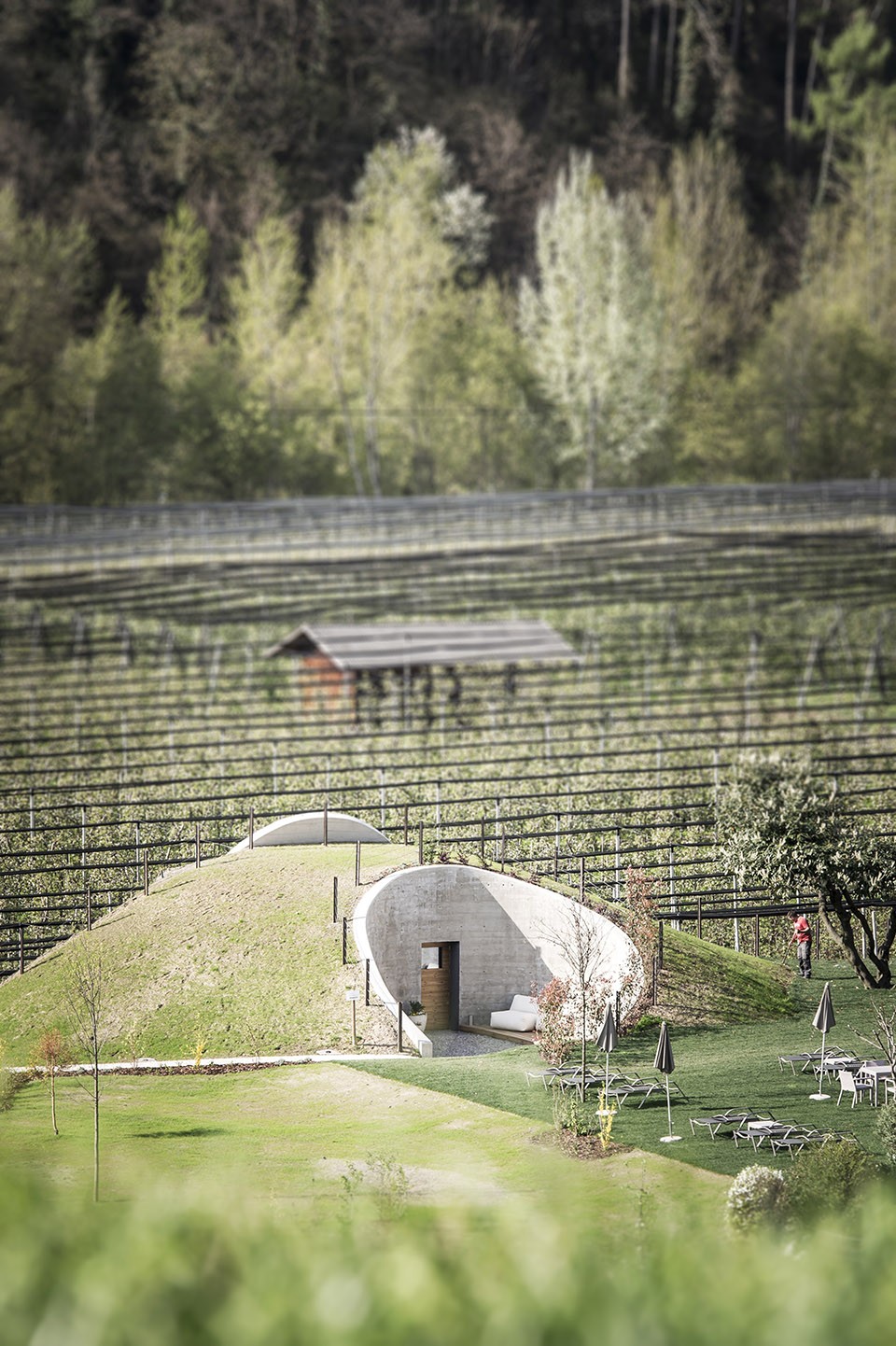 005-Applesauce by network of architecture