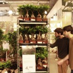 家居改造，马德里 / Ana Mombiedro and ENORME Studio