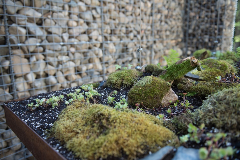 2-Selected Works from The International Garden Festival