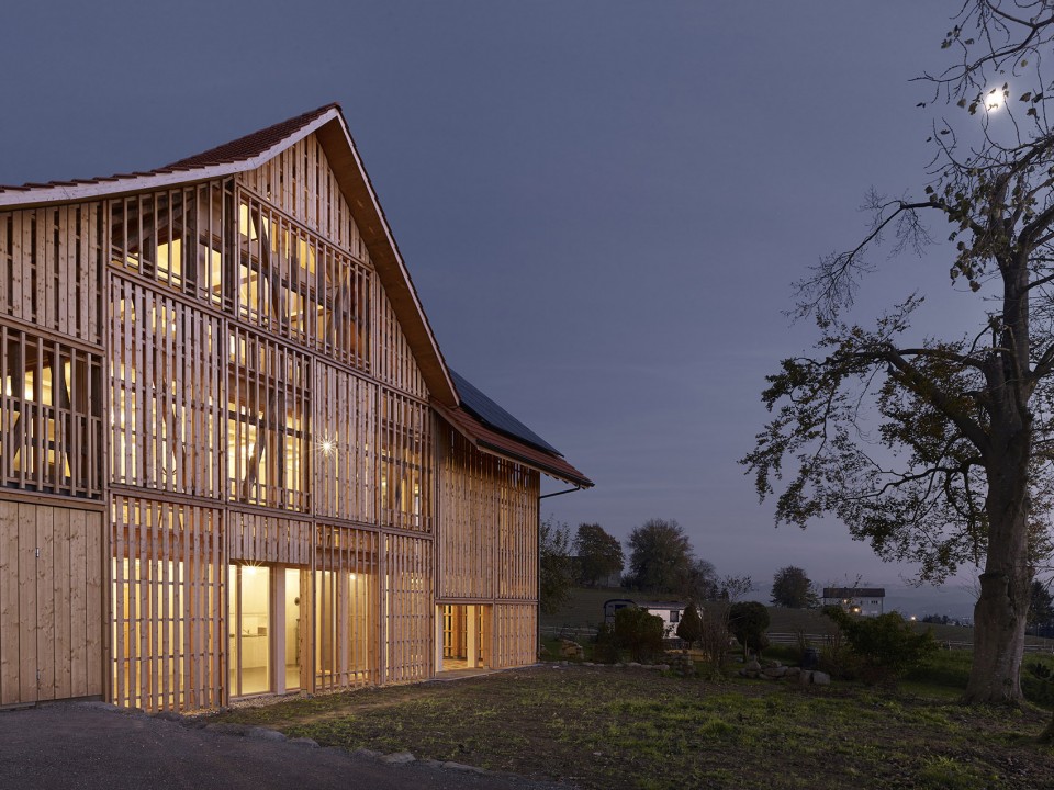 Dingenhart 02