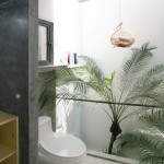 小住宅，越南 / Nghia Architect