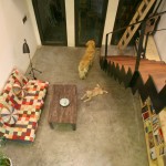 小住宅，越南 / Nghia Architect