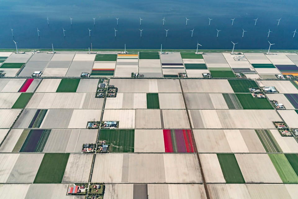 001-Tulip Fields by Bernhard Lang