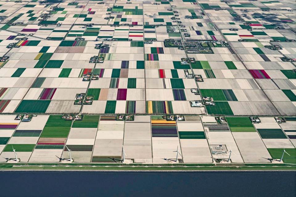 002-Tulip Fields by Bernhard Lang