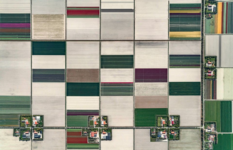 003-Tulip Fields by Bernhard Lang