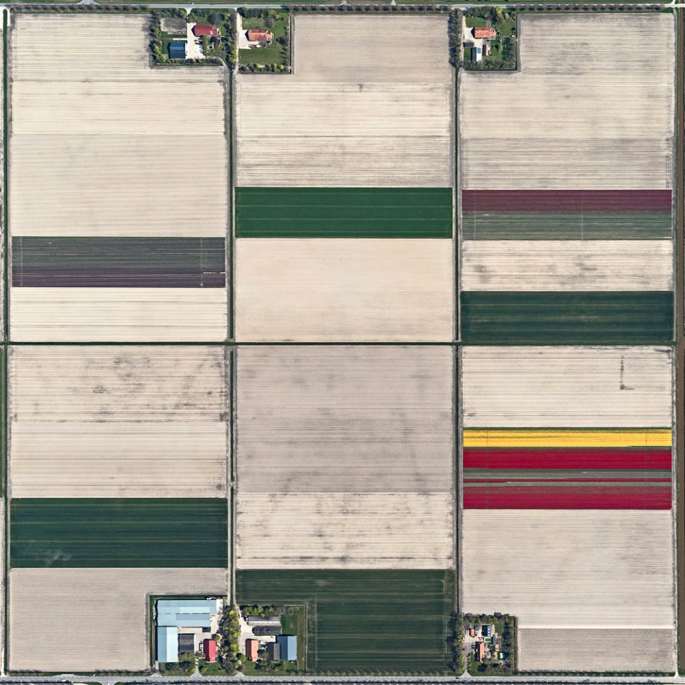 005-Tulip Fields by Bernhard Lang