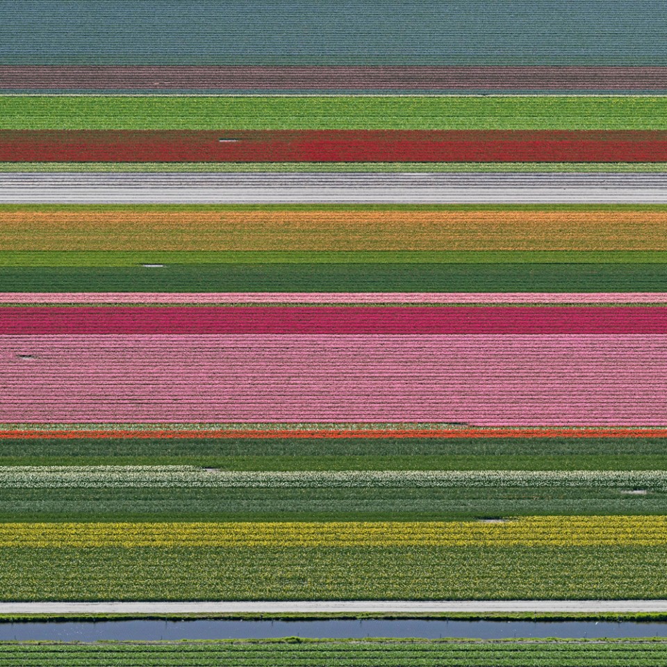 009-Tulip Fields by Bernhard Lang
