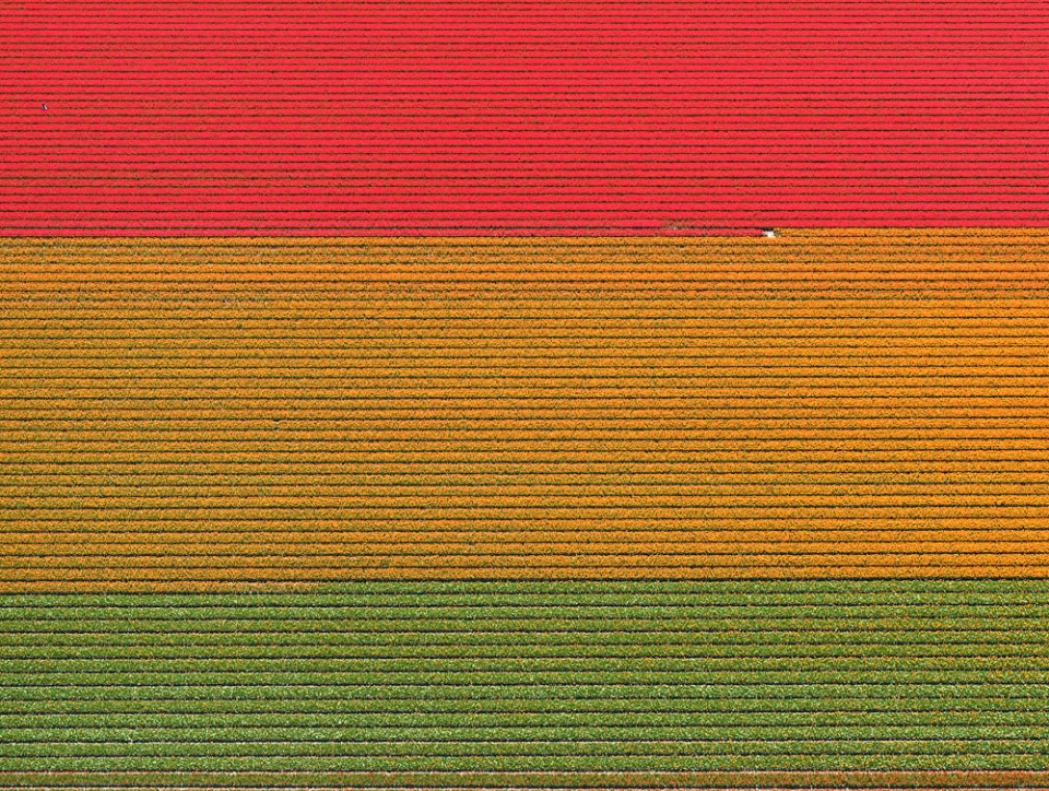 010-Tulip Fields by Bernhard Lang