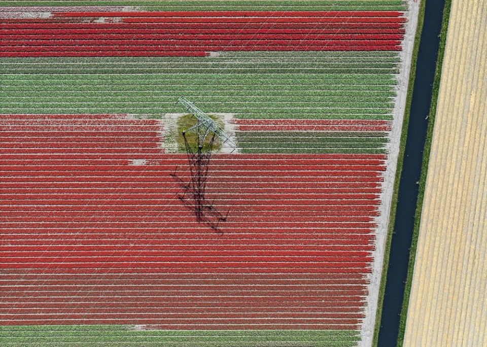 016-Tulip Fields by Bernhard Lang