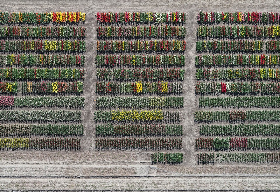 034-Tulip Fields by Bernhard Lang