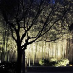 袁家村陕拾叁碧山堂店景观设计/中国建筑西北设计研究院