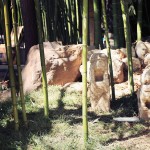 袁家村陕拾叁碧山堂店景观设计/中国建筑西北设计研究院