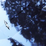 袁家村陕拾叁碧山堂店景观设计/中国建筑西北设计研究院