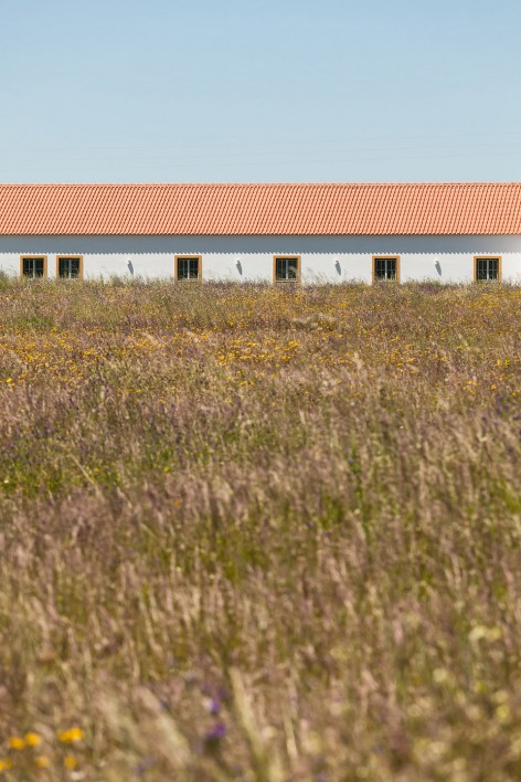 Barroca Museum by DC.AD-6