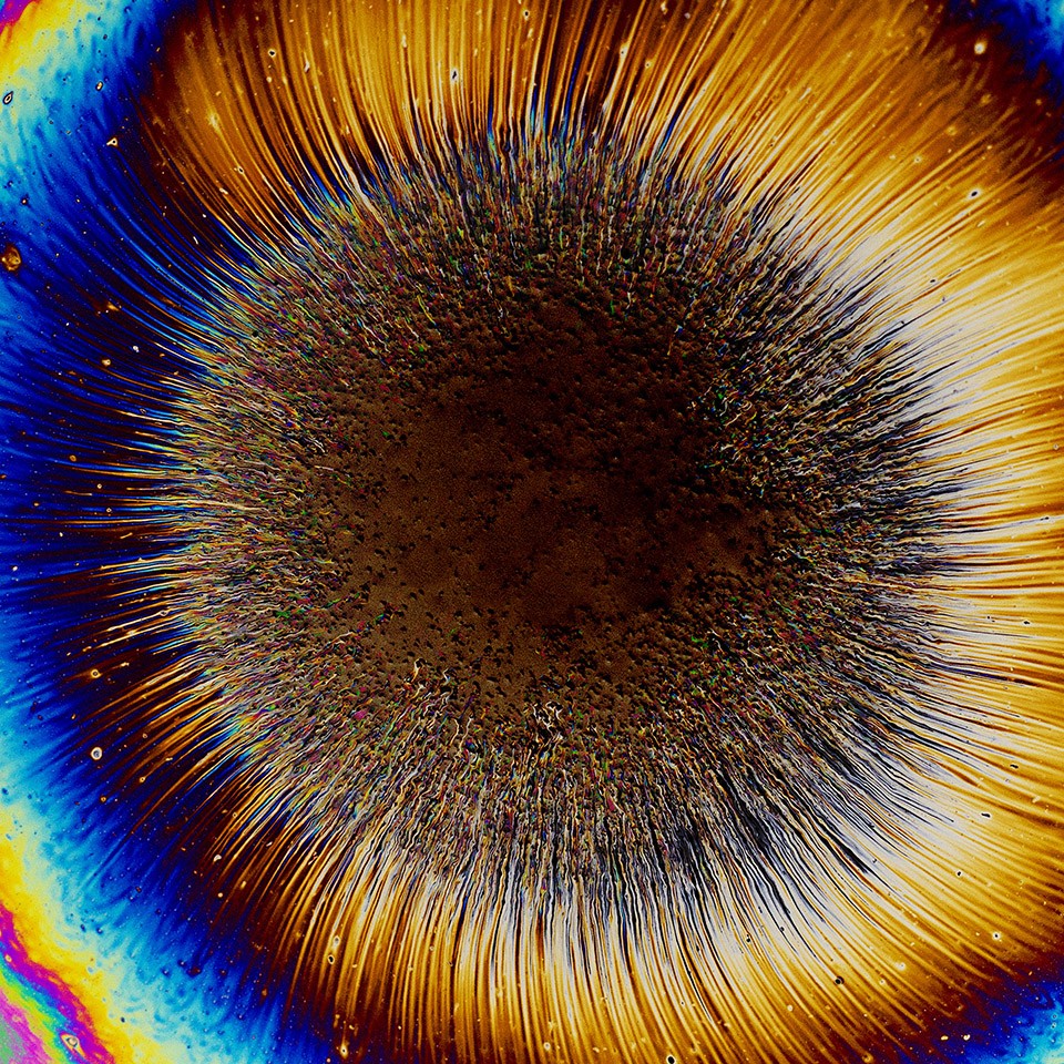 Oil_Spill_No_07