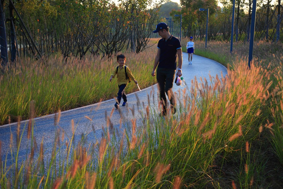 Quzhou Lumin Park by Turenscape-15