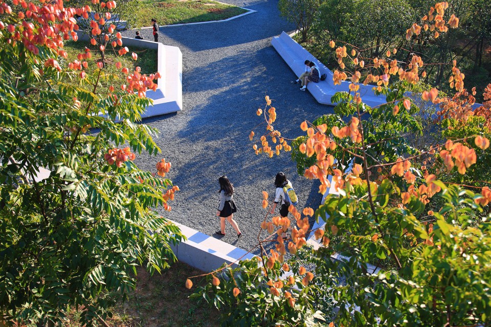 Quzhou Lumin Park by Turenscape-17
