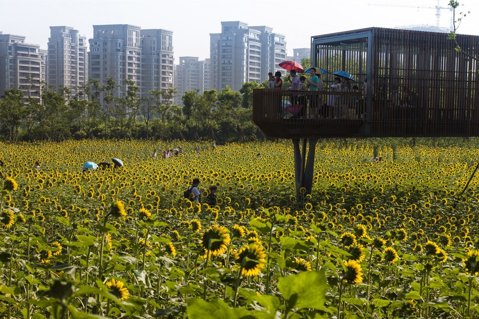 Quzhou Lumin Park by Turenscape-7