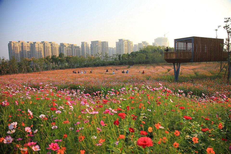 Quzhou Lumin Park by Turenscape-8