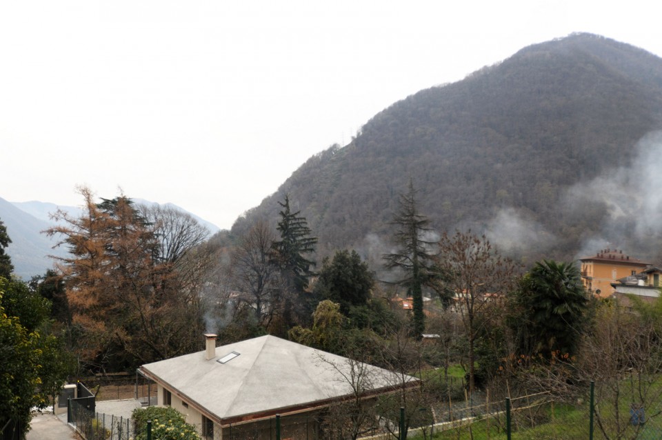 tea house-2