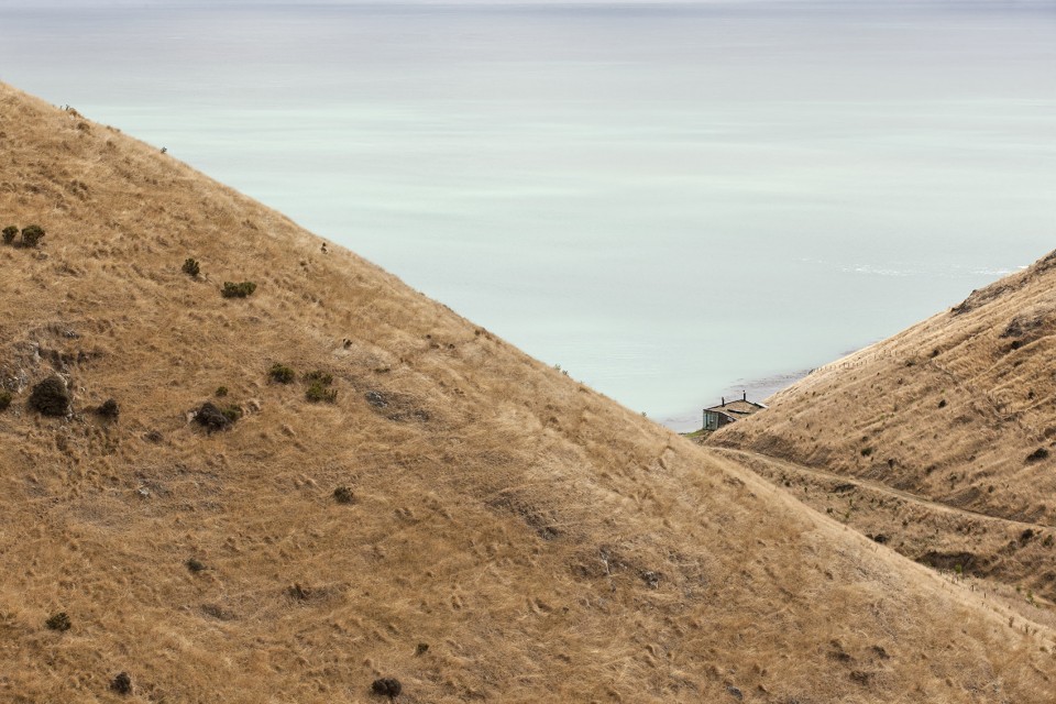 Seascape Patterson Asociation