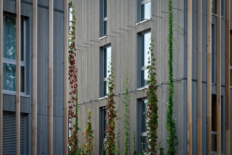 008-Stadthaus M1_Barkow Leibinger