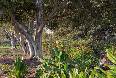 011-Tongva Park and Ken Genser Square by James Corner Field Operations