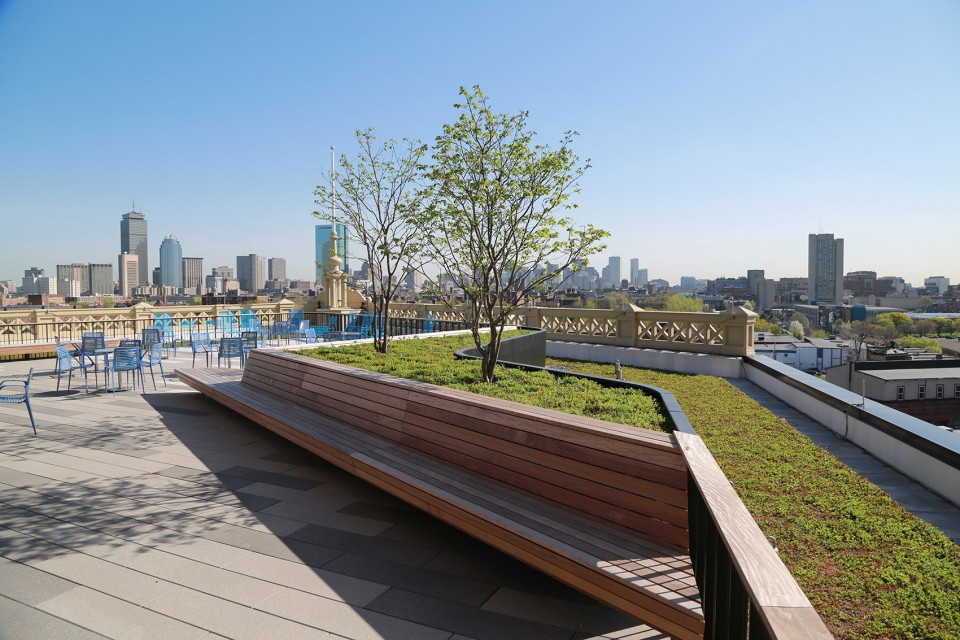 Bolling green roof_01_Spring