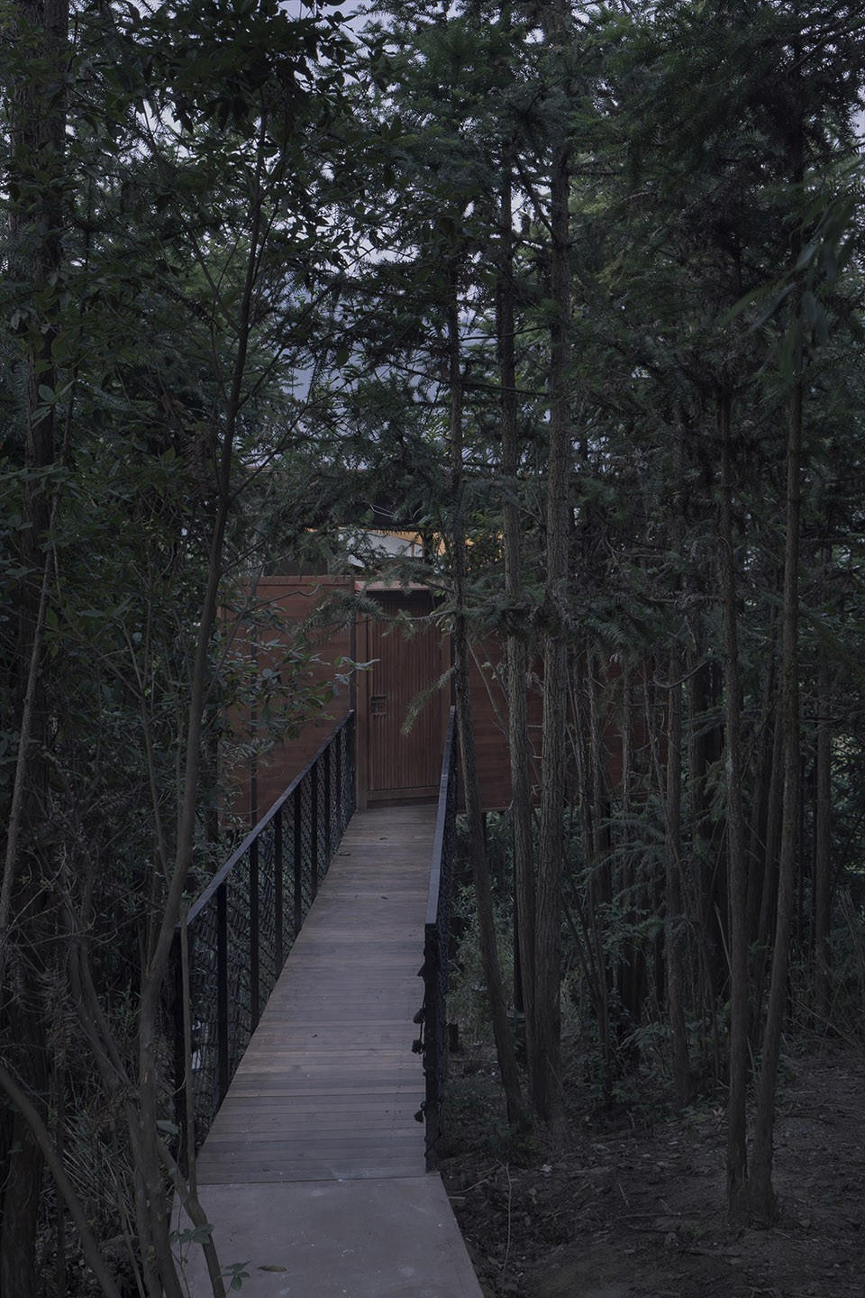Treehouse, Xiuning, Anhui by genarchitects-3