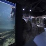 克罗地亚卡尔洛瓦茨淡水水族馆 / Studio 3LHD
