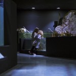 克罗地亚卡尔洛瓦茨淡水水族馆 / Studio 3LHD
