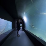 克罗地亚卡尔洛瓦茨淡水水族馆 / Studio 3LHD