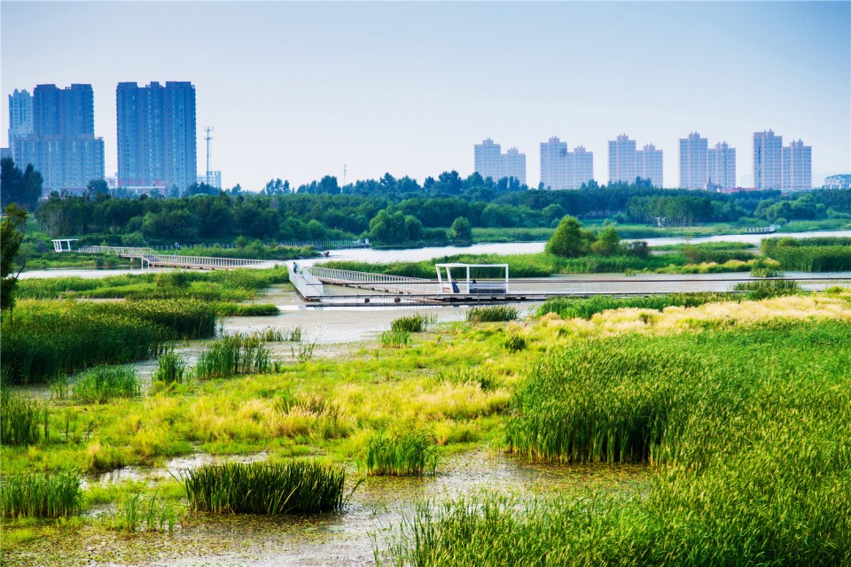 03_The-Harbin-Cultural-Center-Wetland-Park-by-Turenscape-
