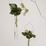 花漾伊甸园 / Agustina Bottoni