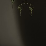 花漾伊甸园 / Agustina Bottoni