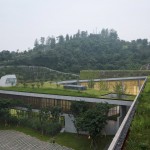 材料与细部专辑第一期 - 直向建筑 / 董功