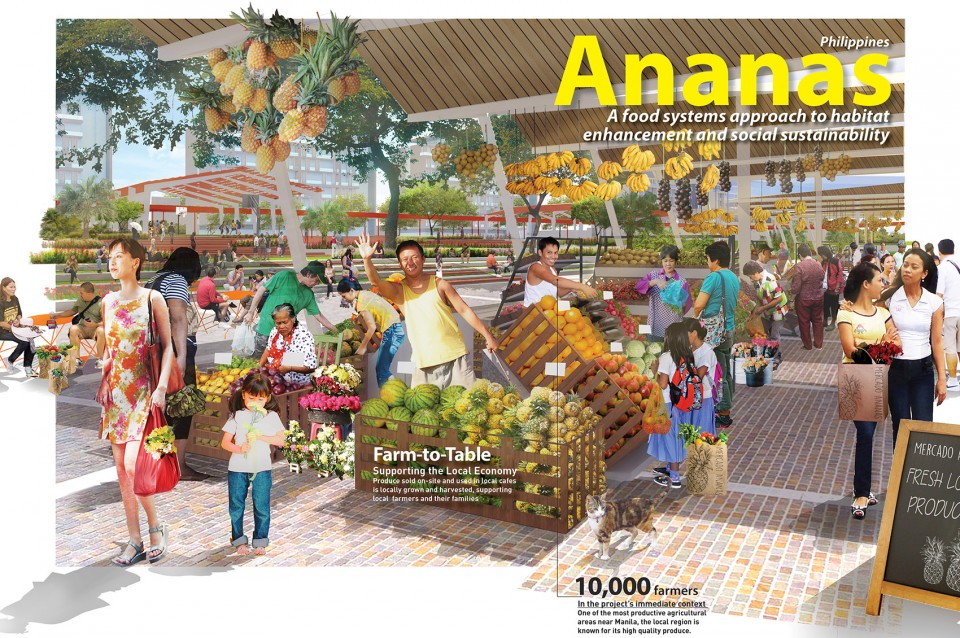 sasaki Ananas_01