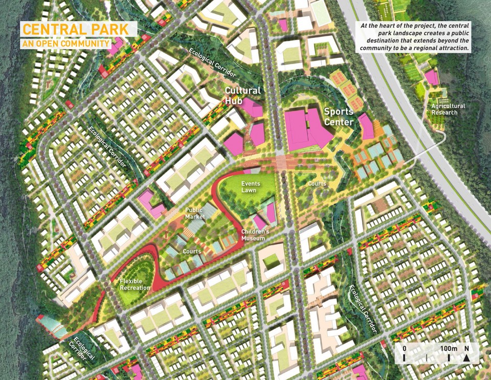 sasaki Ananas_15