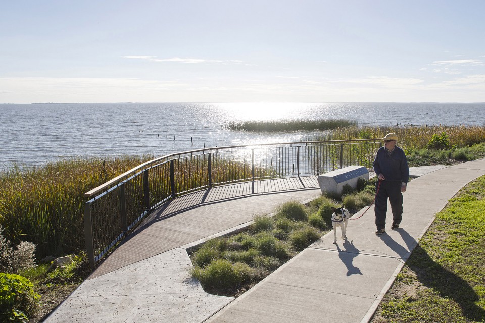 002-Meningie Lakefront Habitat Restoration Project by ASPECT Studios