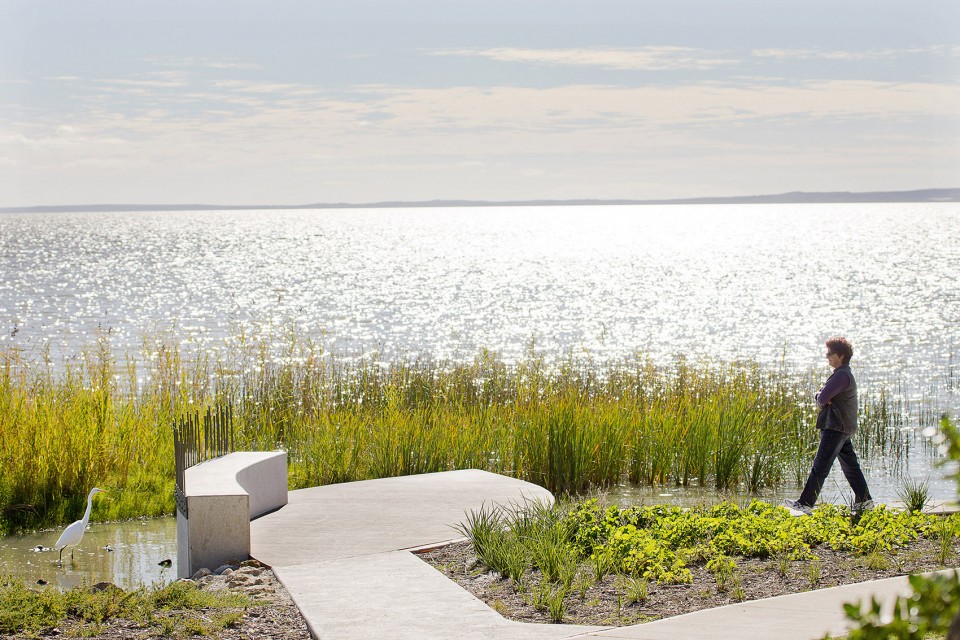 005-Meningie Lakefront Habitat Restoration Project by ASPECT Studios