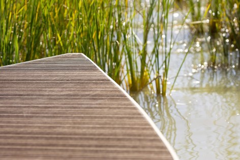 007-Meningie Lakefront Habitat Restoration Project by ASPECT Studios
