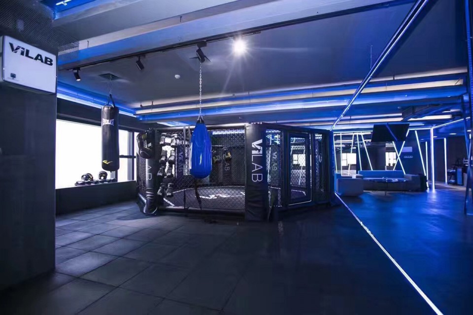 3-boxing_VLAB