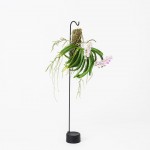 悬挂着的绿意 / Satoshi Itasaka - the design labo