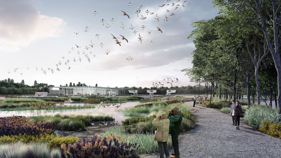 002-‘Bird Airport’ for China - Competition Win Unveiled by McGregor Coxall