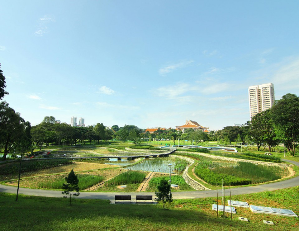 BishanPark_11