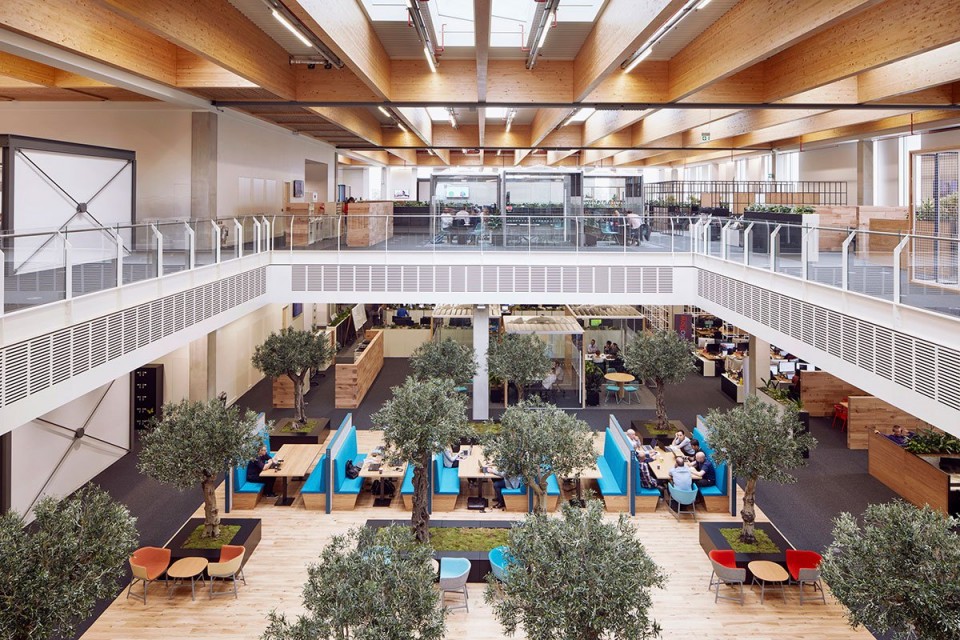 Sky Central_HASSELL_01