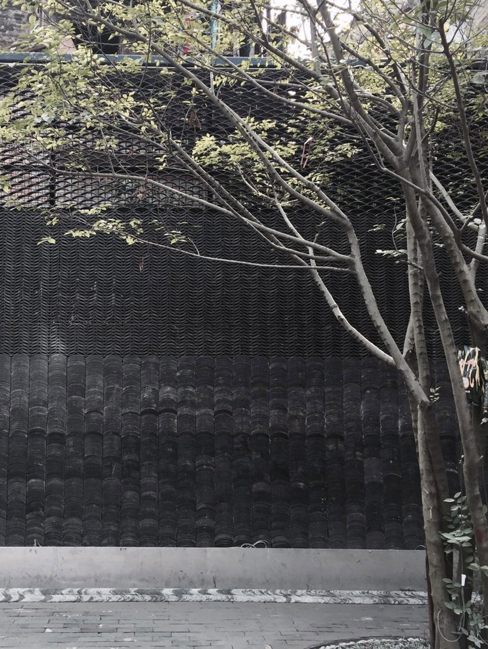 019-Yongqing Fang