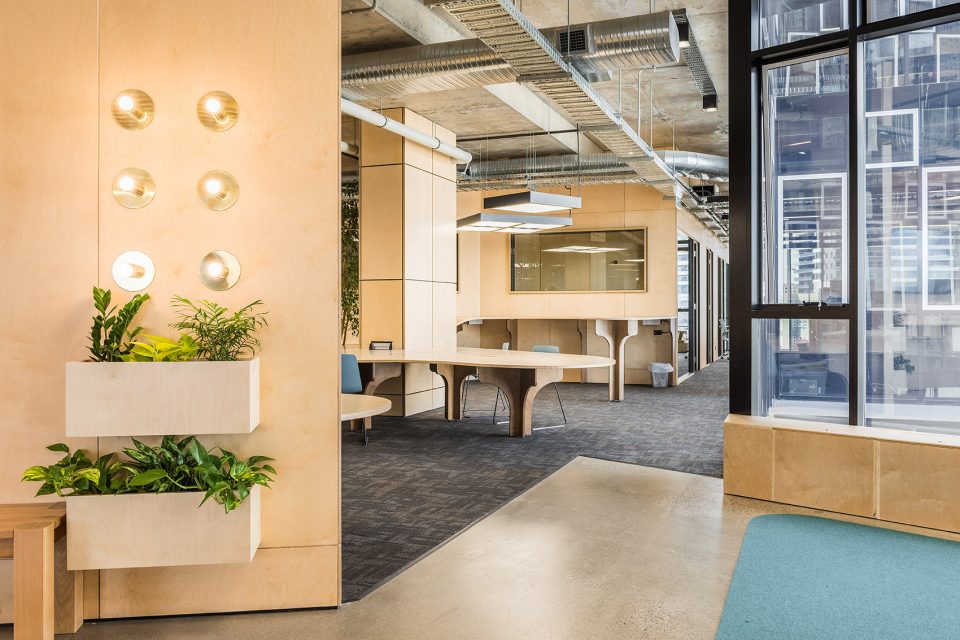 The Commons CoworkSouth Melbourne By Siren Design Group