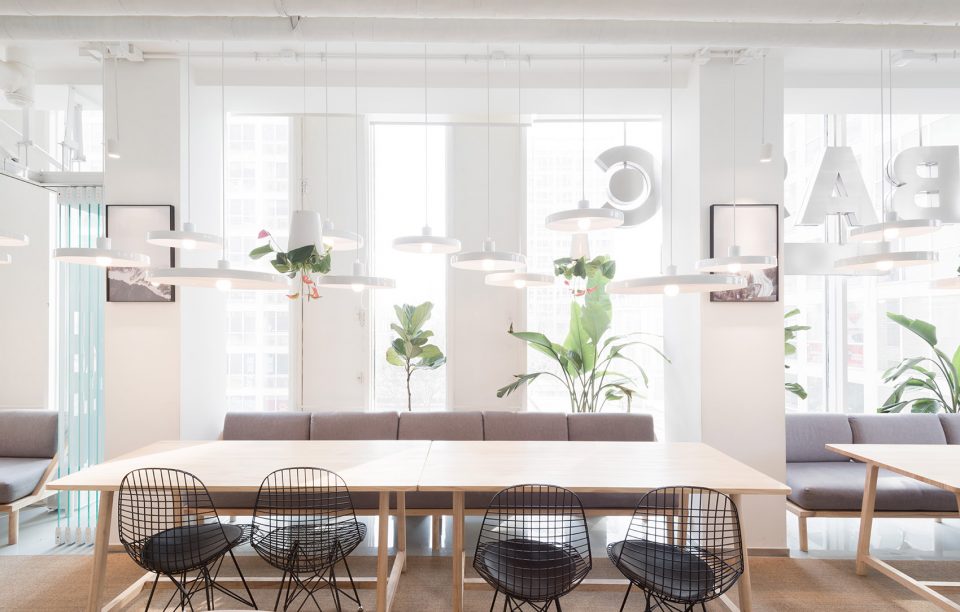 interior5 basic coffee nazodesign studio